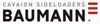 BAUMANN logo