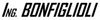 Repair services and parts for BONFIGLIOLI