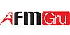FMGRU parts for Top-Slewing Tower Cranes