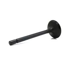 Intake Valve for heavy equipment