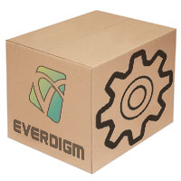 Valve 420-00060 Everdigm