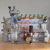 Pump Deutz BF6L913 9126339KY, CPES6A95D410RS2149 10400876072