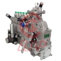 Pump BYC 10402376176 10402376176 CPES6AD100D320RS2152