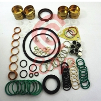 Engine 2417010022 800717 OEM 2417010022