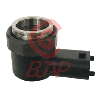 Injector F00VC30318 FooVC30318 F 00V C30 318