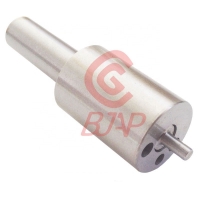 Injector FL1011 04175789 04170699 02934355