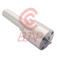 Fuel Injector DSLA150PN925