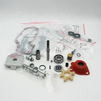 Repair Kit Cummins N14 NT855 AFC 3803780 3804553