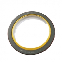 Repair Kit Cummins 6C8.3 3925343