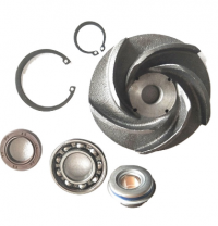 Repair Kit 2882146 4024817 4955802 3803261 Cummins M11 ISM11 QSM11