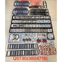 Repair Kit 3804718 3804938 Cummins QST30