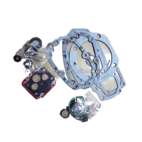 Repair Kit 3010242 Cummins pt