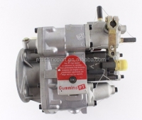 Fuel Pump 855 4951463