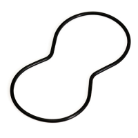 Gasket 11701805