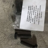 Bolt Q15080830 Q15080830TF2 01112339