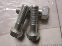 Bolt 26180000161 M20x85x1.25 660.7.3-3