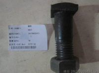 Bolt 29170025411 sdlg