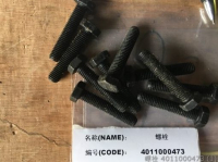 Bolt 4011000473 SDLG