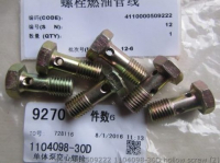 Screw 4110000509222 1104098-30