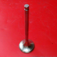 Valve D04-111-31 D04-111-31B