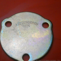 Plate WG2229010009 sinotruck howo