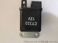 Relay FT300.48.055