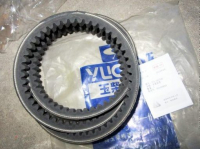 Belt 373-1307042-562 AV22X1546 373-1307042