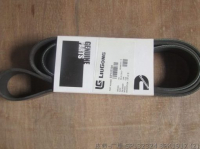 Belt SP132324 8PK1917 cummins 5313520