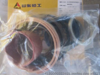 Repair Kit 4120000553401 SDLG