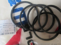 Oil Seal 4110000184097