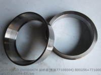 Oil Seal 860115517 Z00360474 77100004