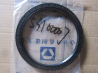 Oil Seal 53100007 W44002043