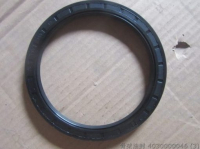 Oil Seal 4030000046 SDLG