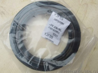 Oil Seal 4890832 cummins
