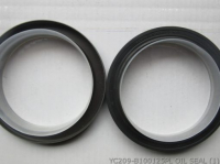 Oil Seal YC209-B100125PL 4110000560341 SP106201