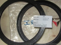 Oil Seal 4030000146 11B0076 170x200x15