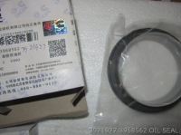 Oil Seal 3921927 3968562 cummins