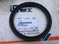 Oil Seal SP100215 0734309422 ZF