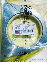 Oil Seal 3933384 SP105638 4110000081096