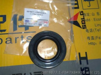 Oil Seal GBT9877.1-FB47X84X10 foton lovol