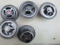 Thermostat C22AL-1118010+ 1118010+A