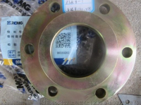 Flange 251900402 XCMG Z3G.8-1 9327918