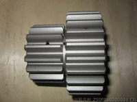 Gear Z50F060200001 chenggong
