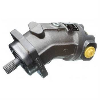 Schwing Spare Parts . A2FO23/61 R 10089057